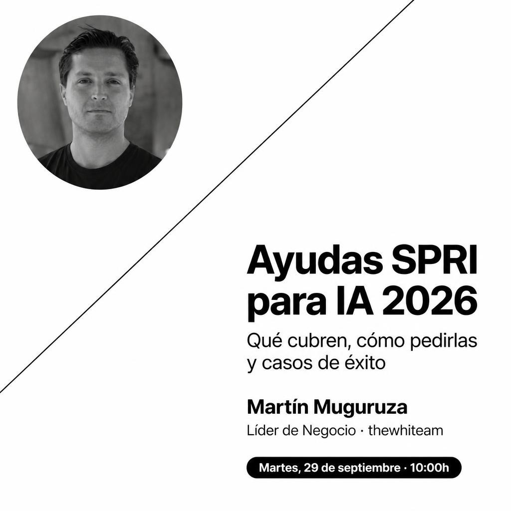 Ayudas SPRI