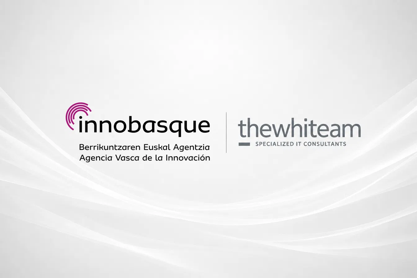 twt innobasque