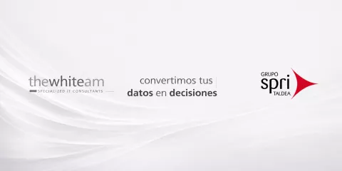Convertimos tus datos en mejores decisiones 