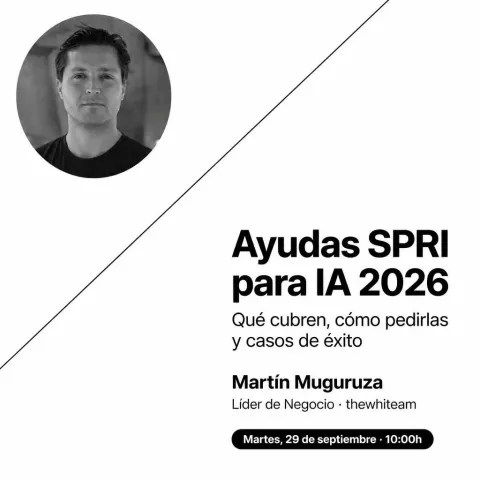 Ayudas SPRI